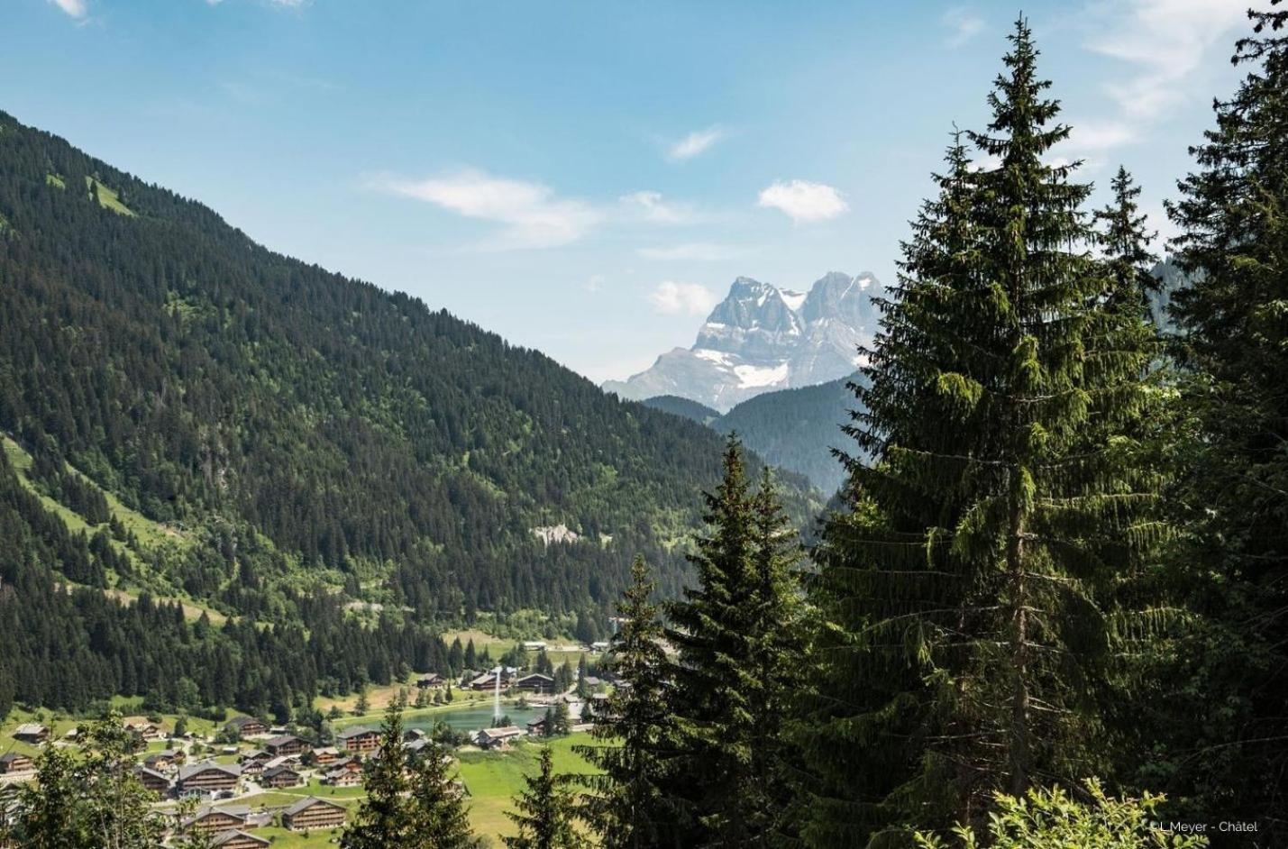 Toison Blanche Tba3 Cosy & Mountain 4 Pers Apartment Chatel Exterior photo