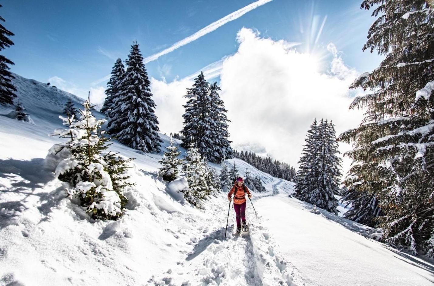 Toison Blanche Tba3 Cosy & Mountain 4 Pers Apartment Chatel Exterior photo