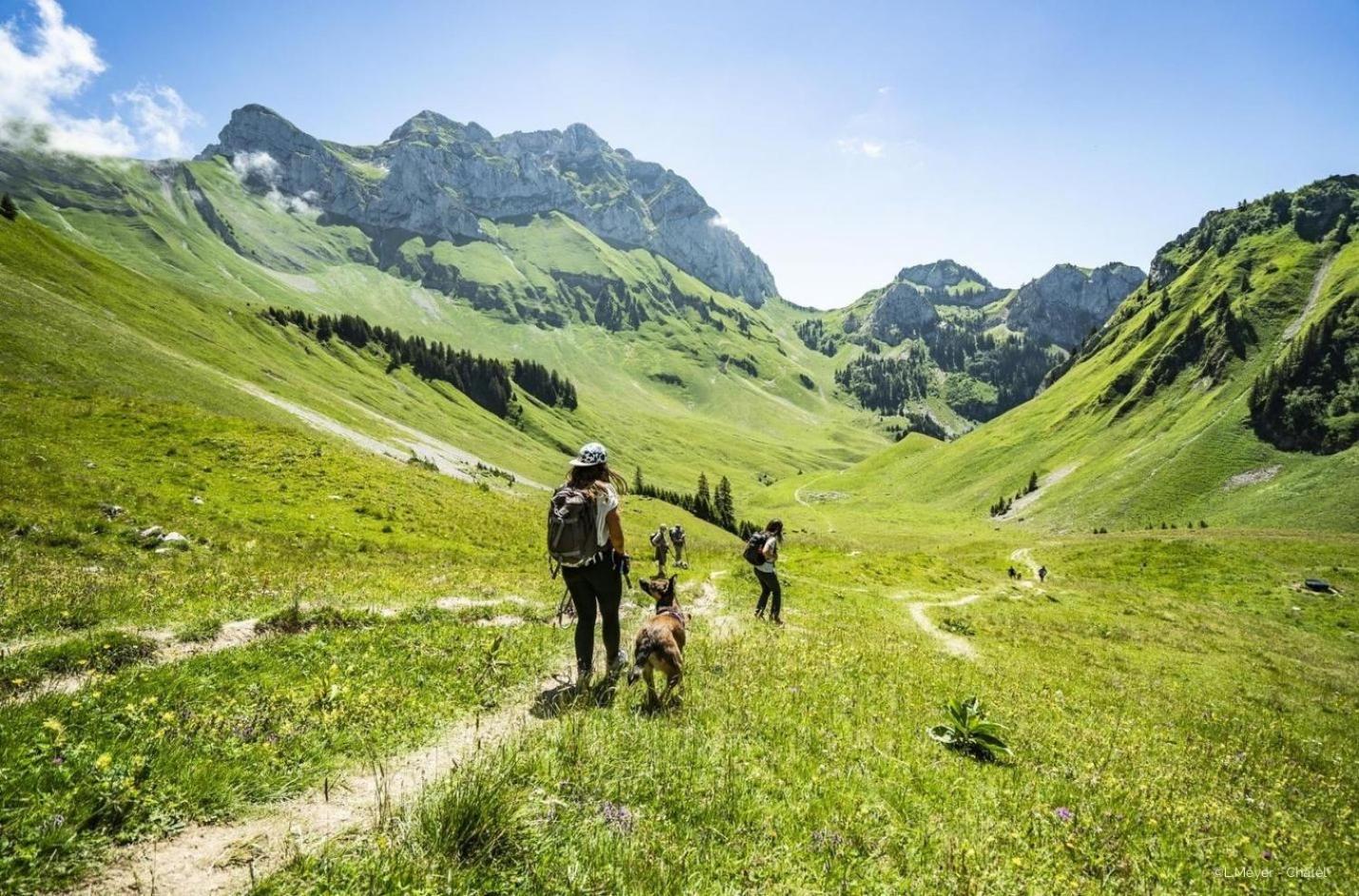 Toison Blanche Tba3 Cosy & Mountain 4 Pers Apartment Chatel Exterior photo